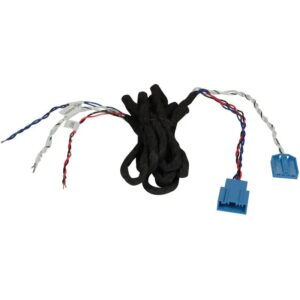 ESX DW5BMW